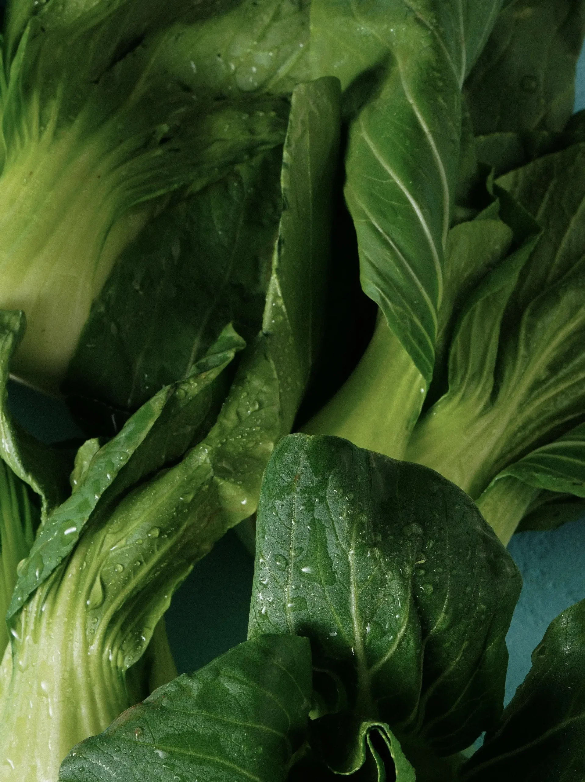 DETOXIFYING